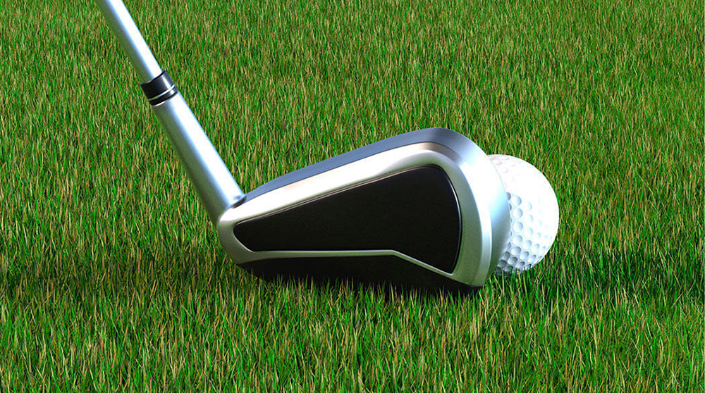 高爾夫球杆(gan)